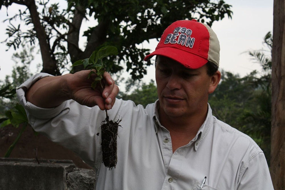 The History - Guatemala 2017