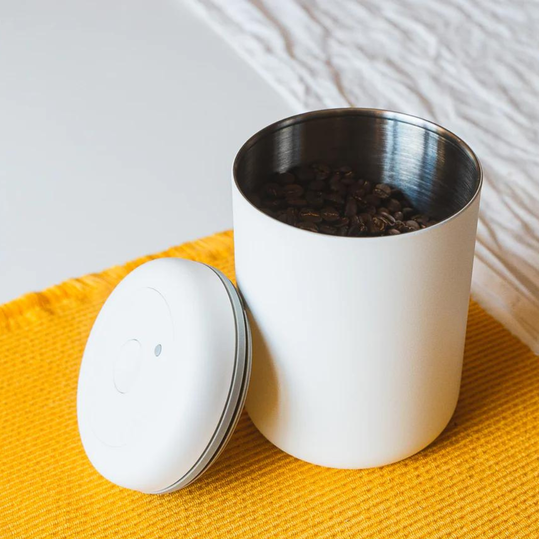 How to Store Your Coffee (And Why it Matters)