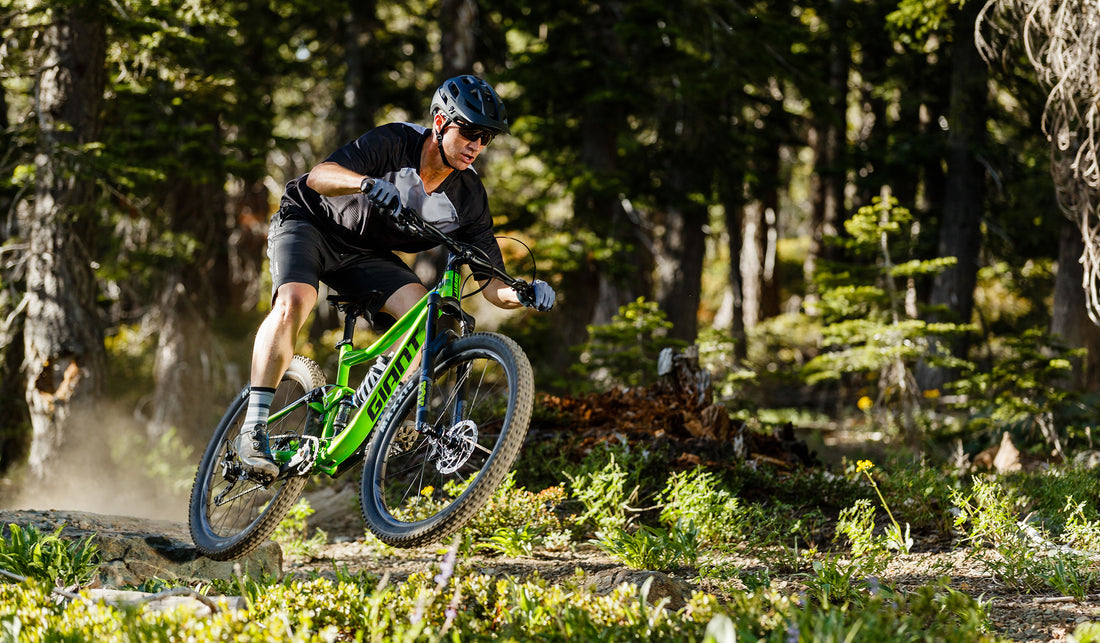 Bean X Steed X Giant Bike Giveaway