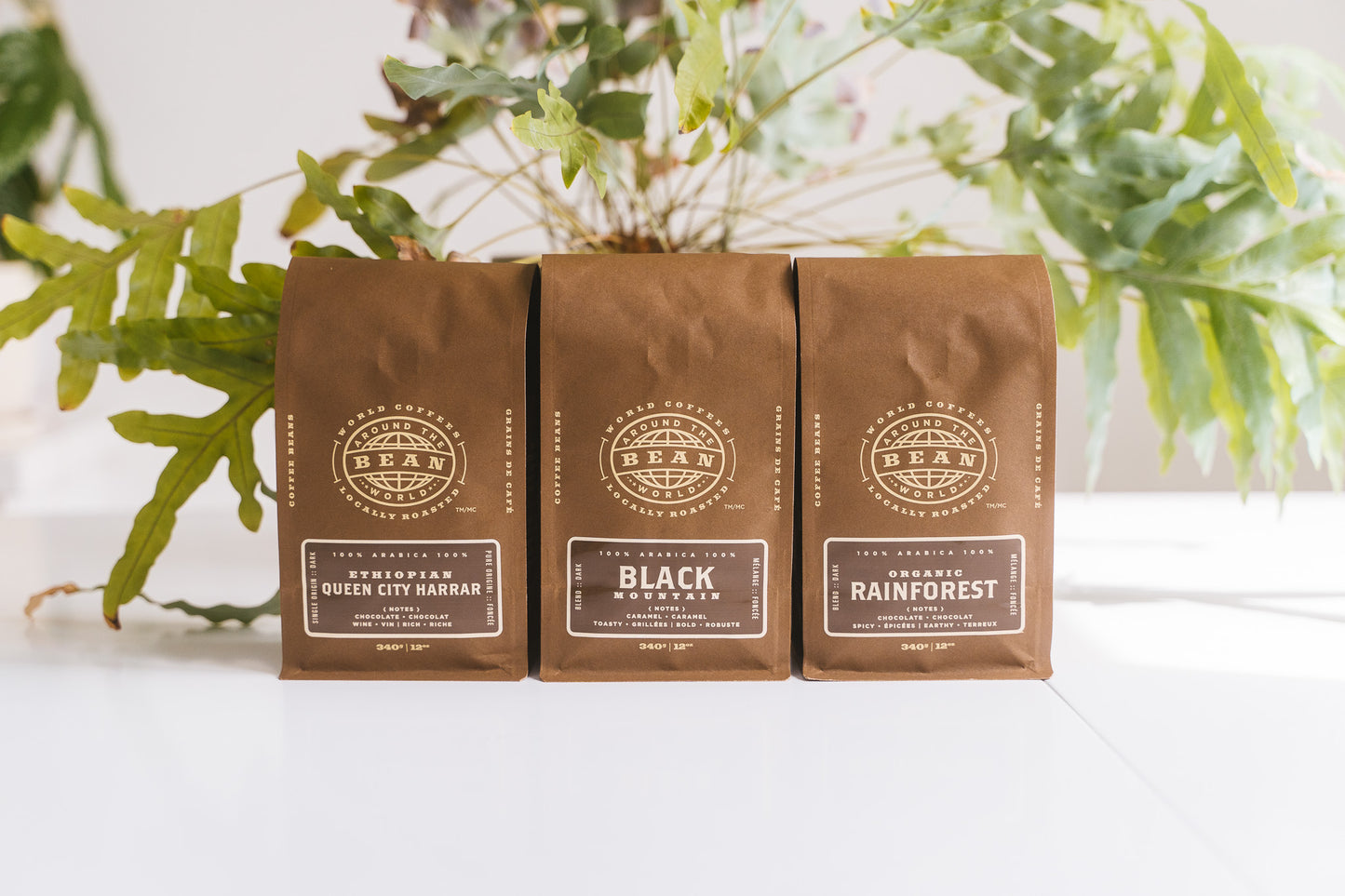 Dark Roast Trio