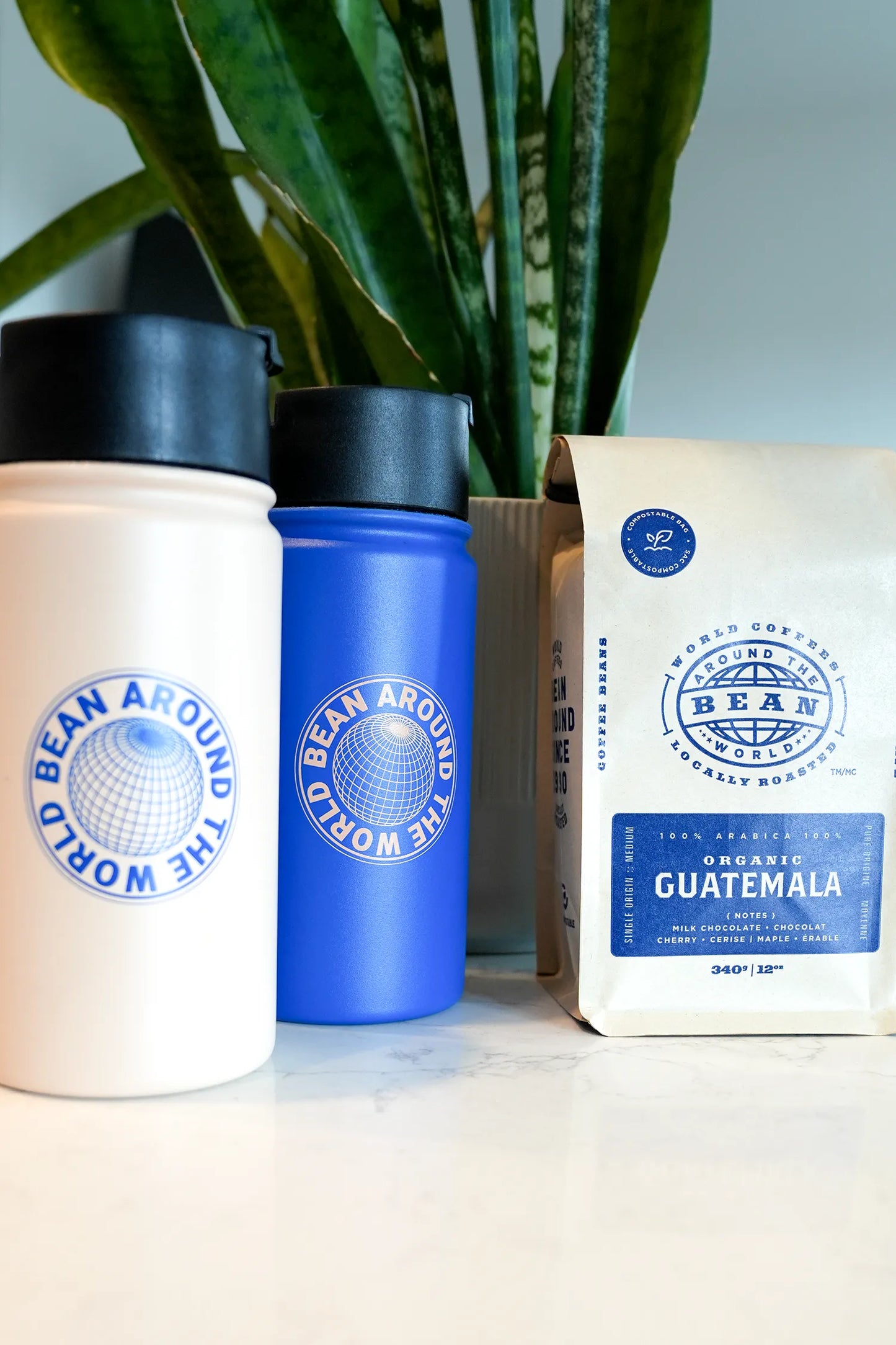 Baja Mug | 12 oz Azul