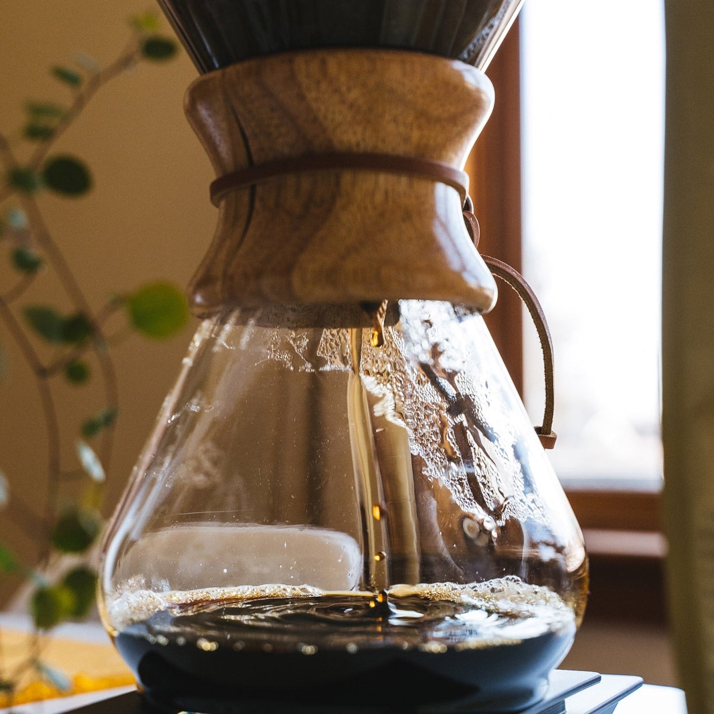 Chemex