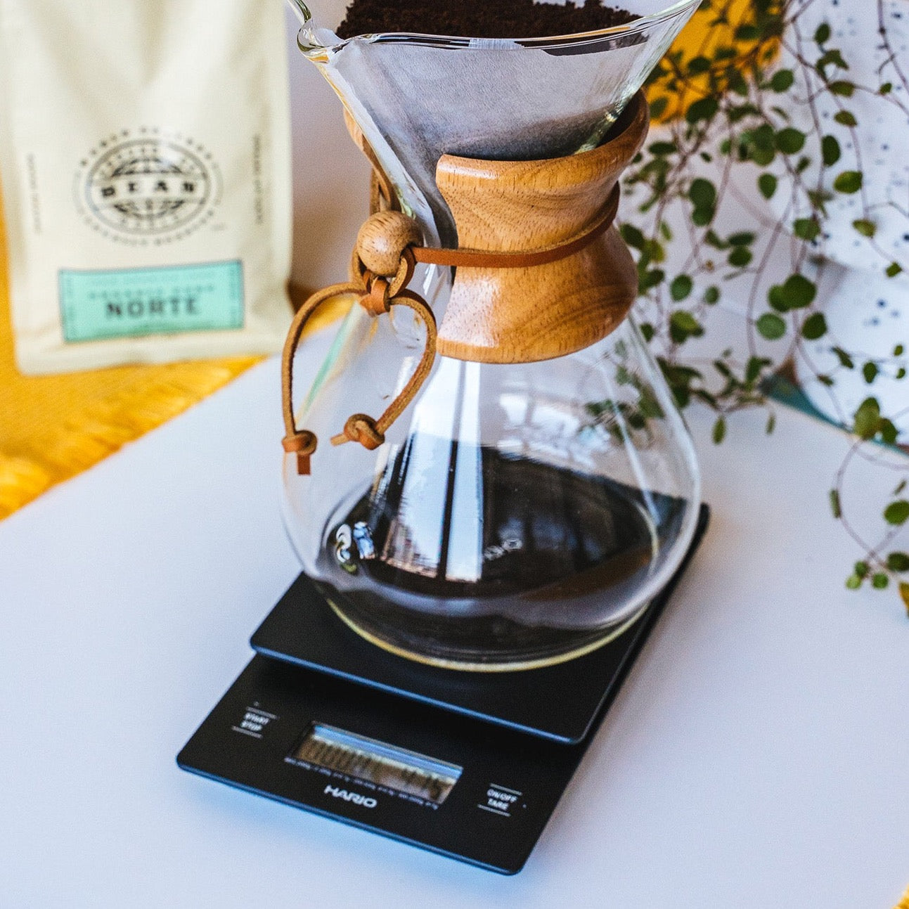 Hario V60 Drip Scale